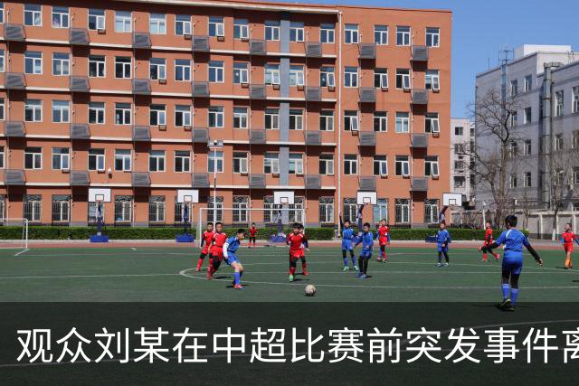 观众刘某在中超比赛前突发事件离世，俱乐部发声明