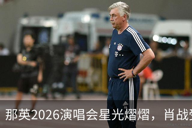 那英2026演唱会星光熠熠，肖战受邀助演，众多巨星齐聚